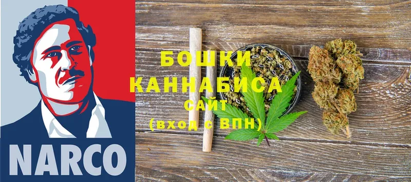 купить закладку  блэк спрут сайт  Канабис SATIVA & INDICA  Камень-на-Оби 